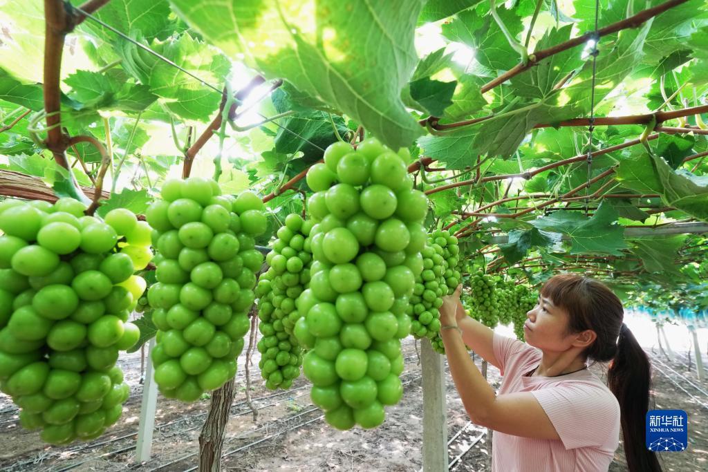 乐虎国际电子游戏